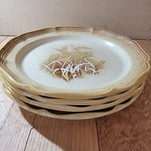 Mikasa whole wheat granola plates